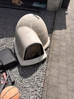 Indigo Dog House (petmate), Dieren en Toebehoren, Ophalen, 100 cm of meer, Hondenhok, 110 cm of meer