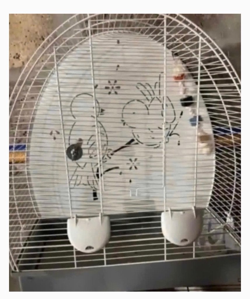Vogelkooi / kooi, Enlèvement, Cage à oiseaux
