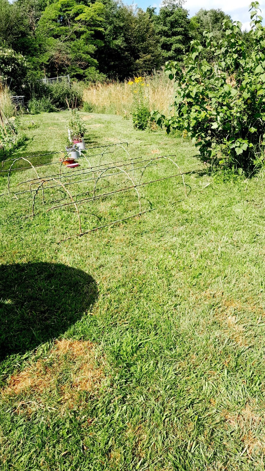 Mini serres métalliques, Tuin en Terras, Ophalen