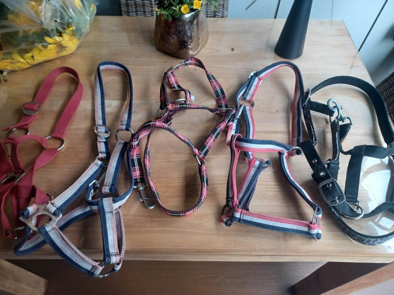 5 halsters, Ophalen of Verzenden, Pony