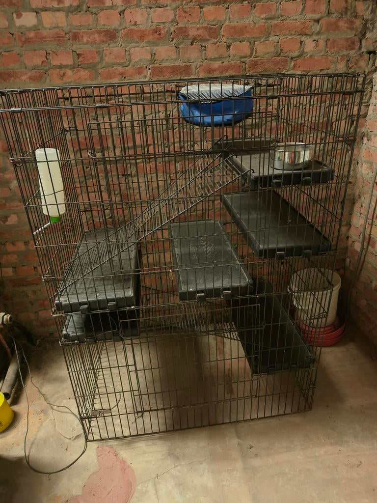 Frettenkooi, Dieren en Toebehoren, Ophalen