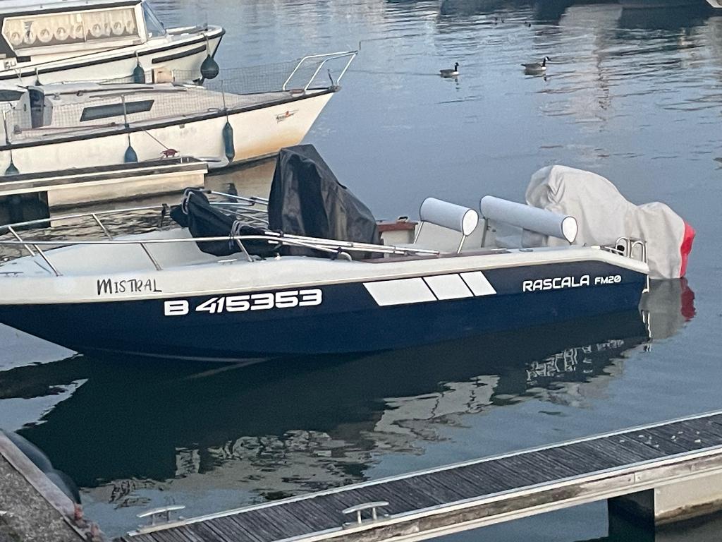 Bateau, Sports nautiques & Bateaux, Bateaux à moteur & Yachts à moteur, 50 ch ou plus, Enlèvement ou Envoi, Comme neuf, Moteur hors-bord