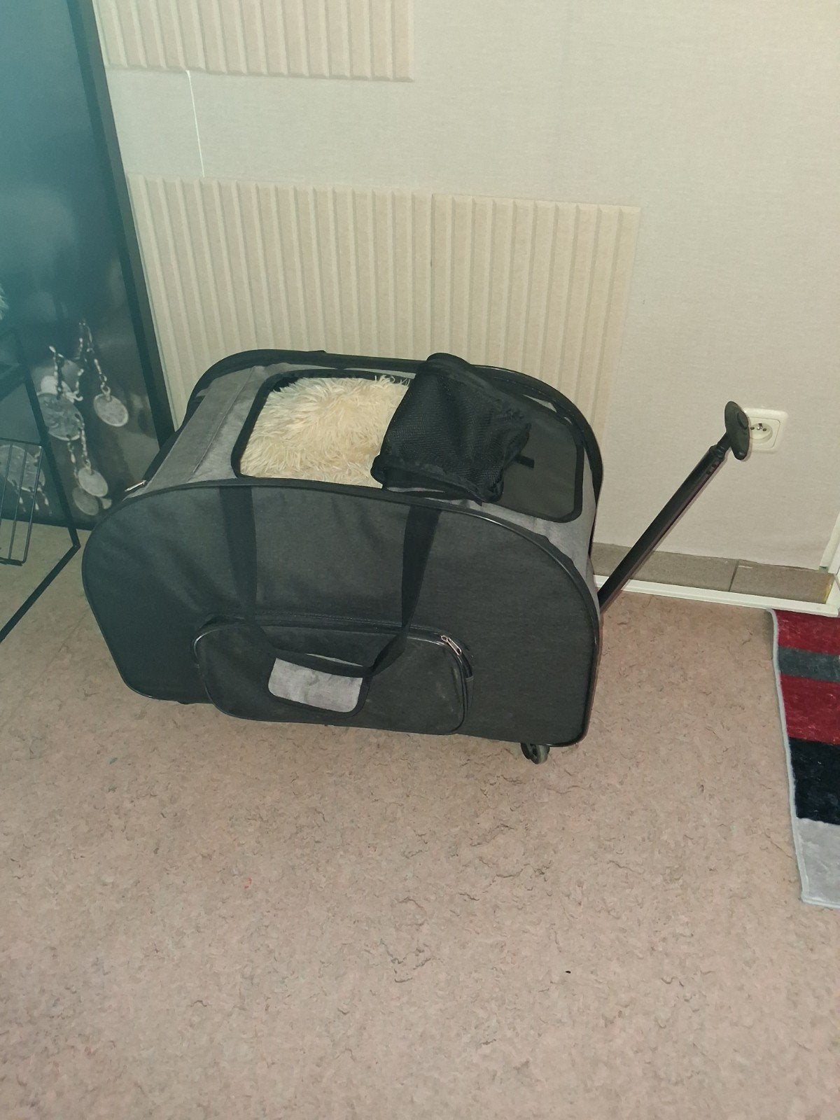 trolley en draagmand voor hond, Enlèvement