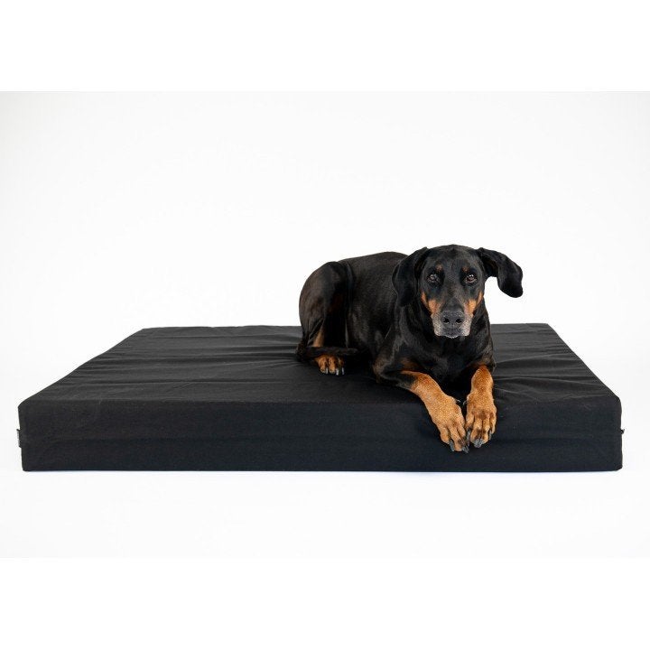 Orthopedische hondenmand S - Teckel, Chihuahua, Jack Russell, Dieren en Toebehoren, Ophalen of Verzenden, Nieuw, Stof