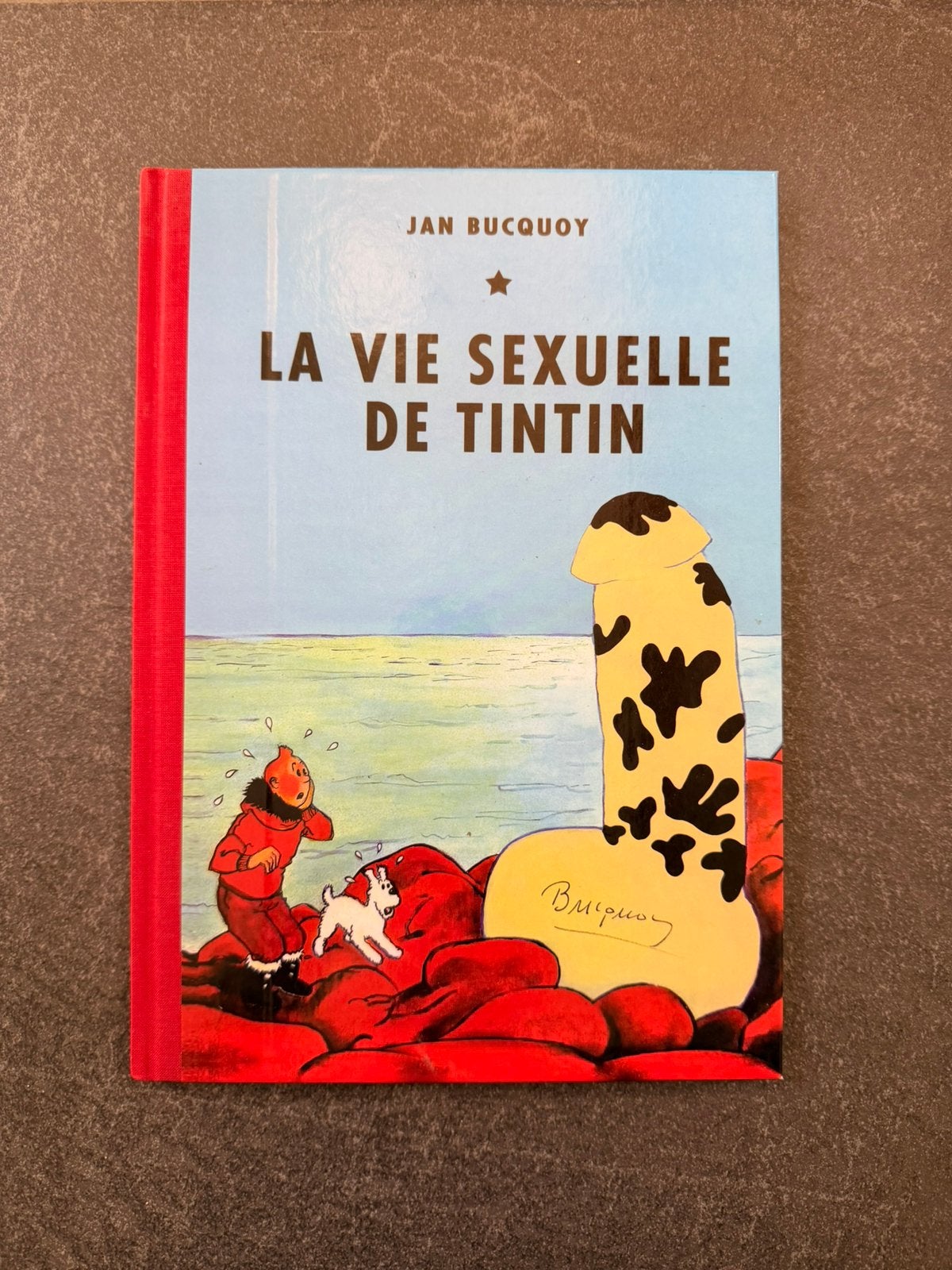 Bd la vie sexuelle de tintin Jan Bucquoy, Boeken, Stripverhalen, Ophalen of Verzenden, Zo goed als nieuw