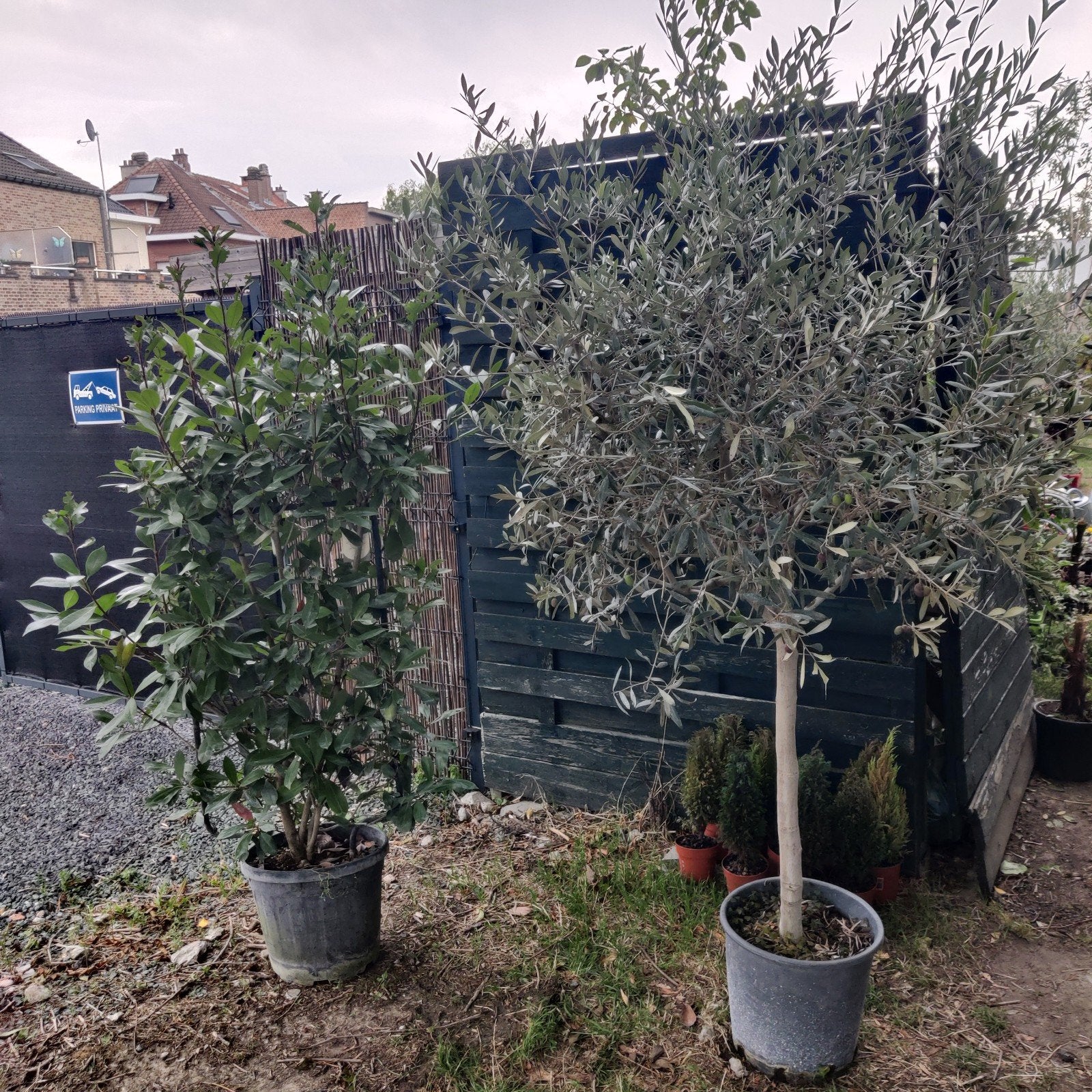 jardin à vider à Zaventem, Jardin & Terrasse, Enlèvement