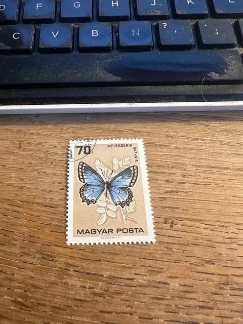 timbre Magyar Posta papillon papillon, Enlèvement ou Envoi, Affranchi