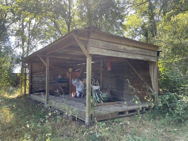 Bijen, Januari