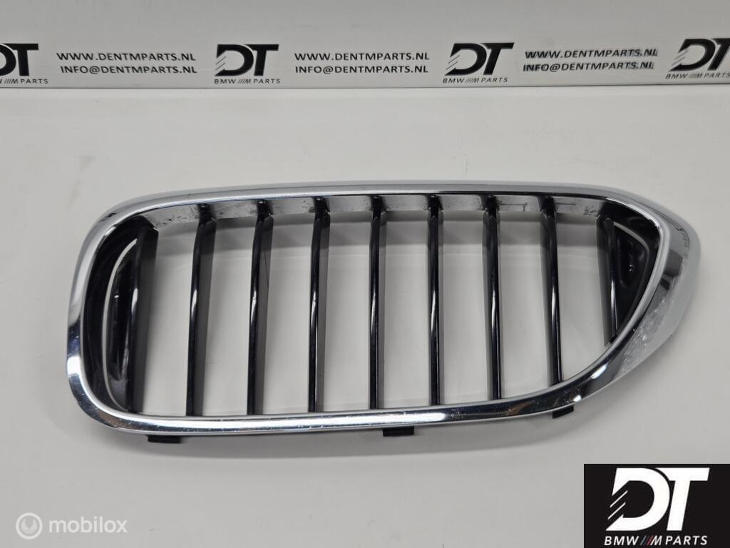 Grille links BMW 5-serie G30 G31 51137390863, Gebruikt, Ophalen of Verzenden, BMW, BMW