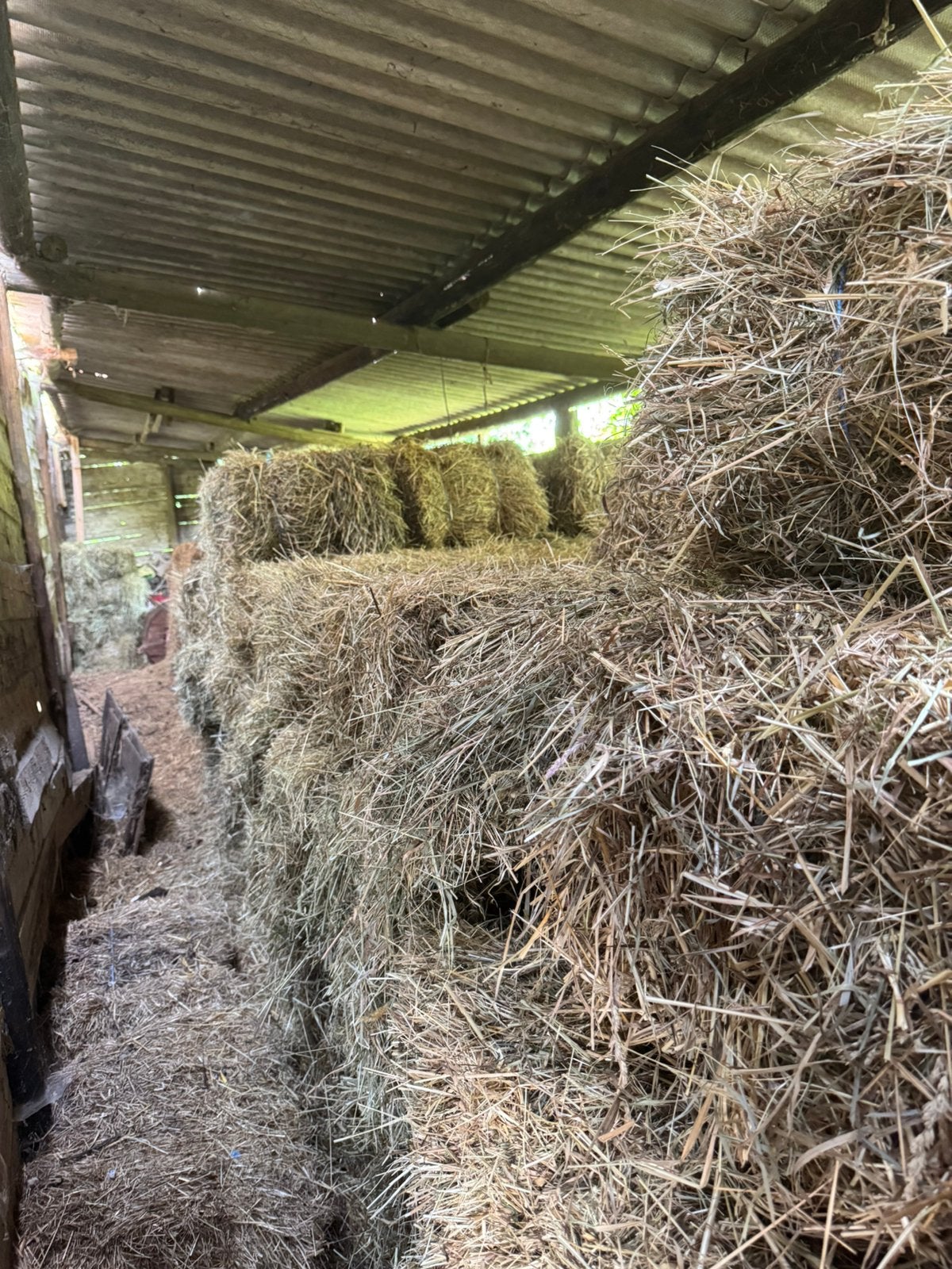 Kleine botten hooi voor schapen of geiten, Enlèvement ou Envoi