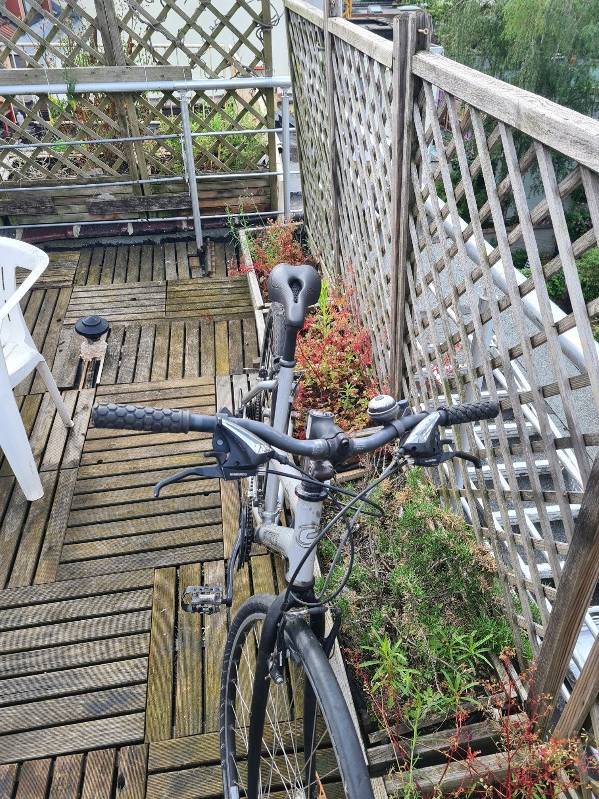Cannondale Femme  ville, Vélos & Vélomoteurs, Enlèvement