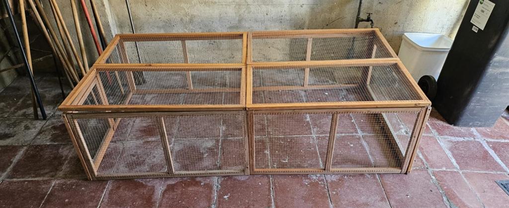 Tuinren voor kleine huisdiertjes, Ophalen, Ren, Cavia