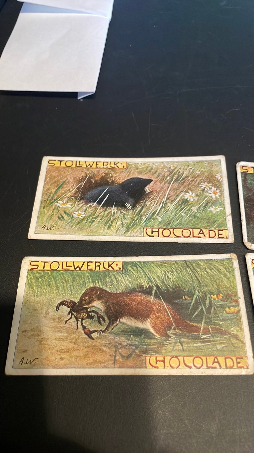 Stollwerck chromo groep 27(x3a), Verzamelen, Gebruikt, Ophalen of Verzenden, 1940 tot 1960, Dier