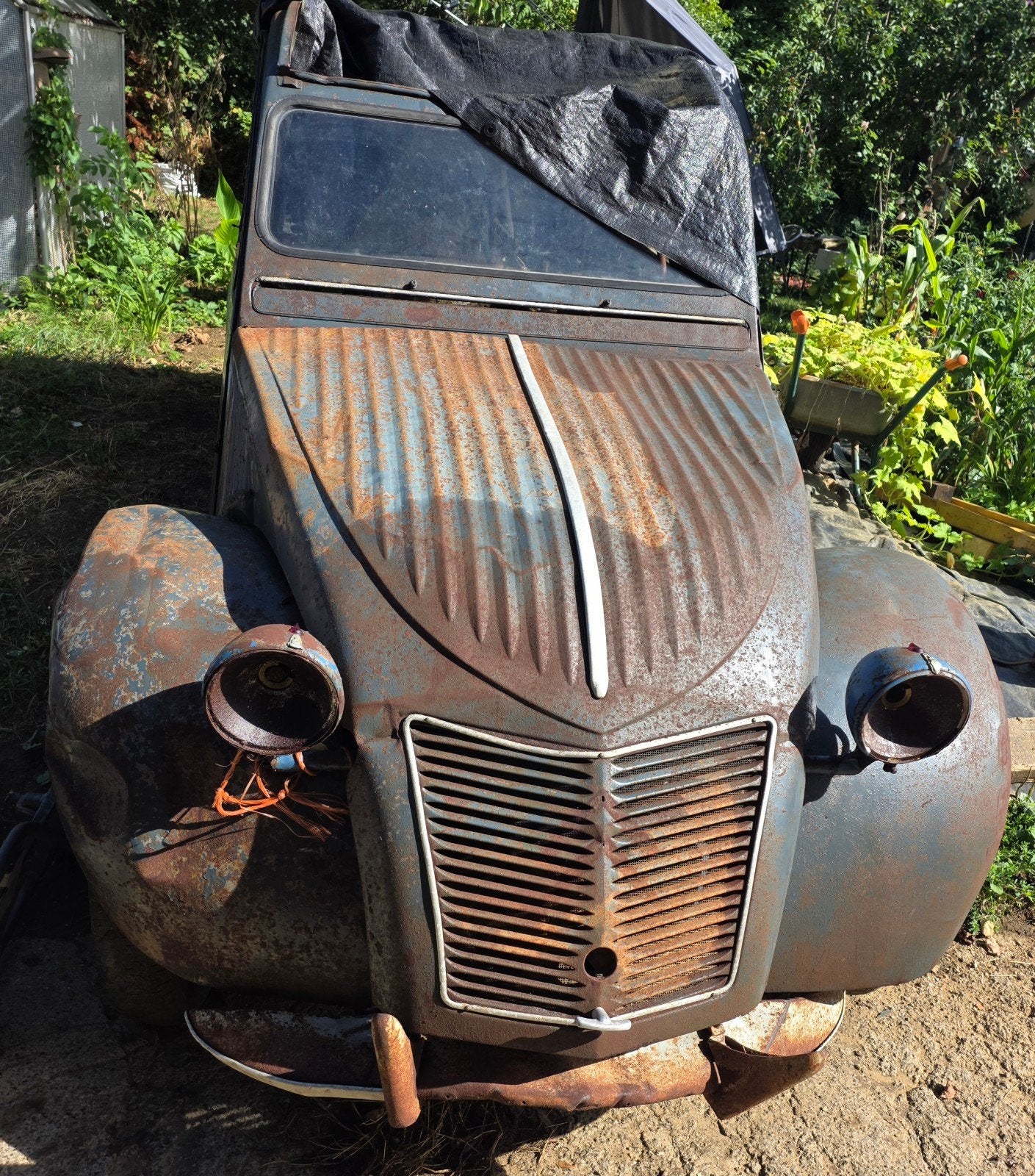 citroen 2cv, Particulier, Achat