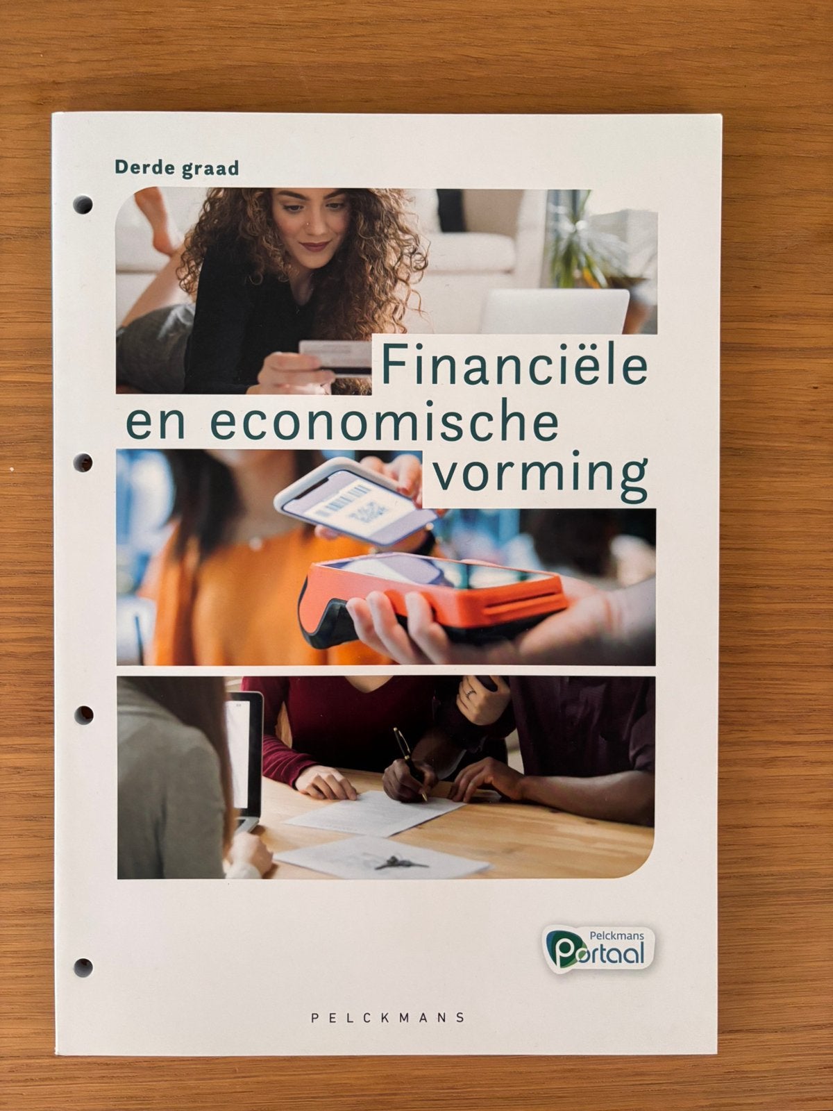 Financiële en economische vorming Leerwerkboek Derde graad, Boeken, Schoolboeken, Ophalen of Verzenden, Nederlands