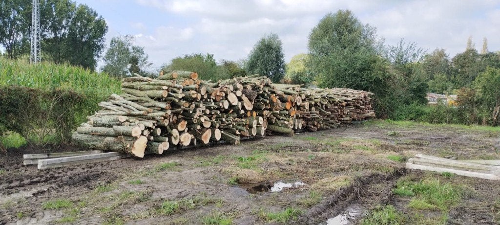 Brandhout te koop, Tuin en Terras, Ophalen, Takken