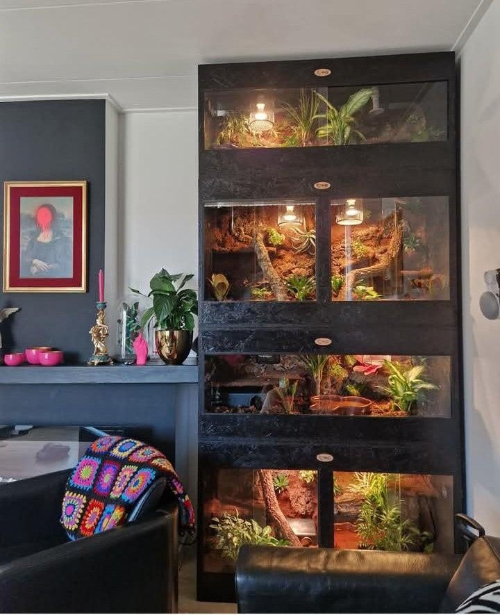 Osb3 terrarium RepHouSZ 80/40/40, Ophalen, Nieuw, Terrarium of Paludarium
