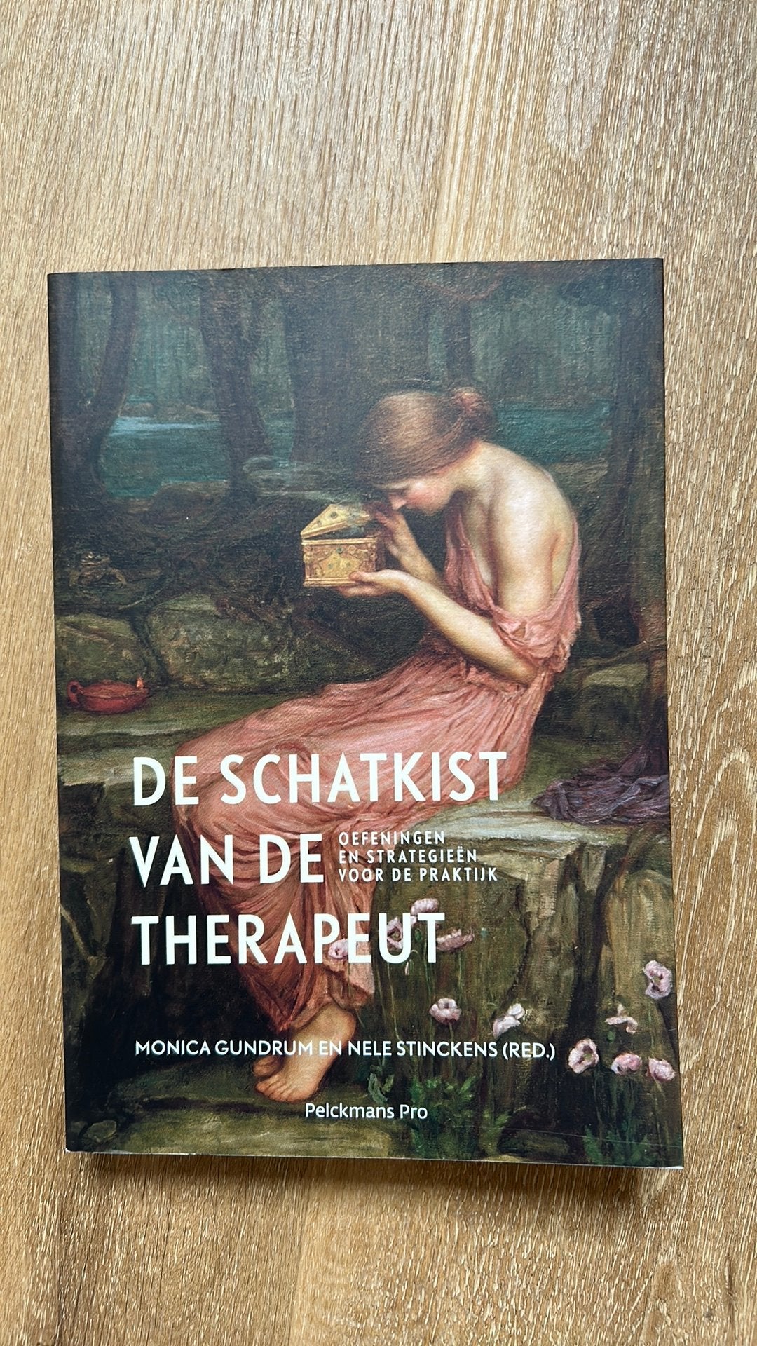 De schatkist van de therapeut, Ophalen