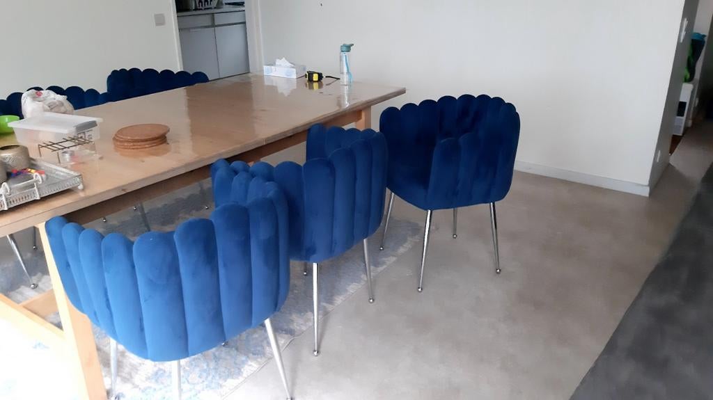 Eettafel + 6 stoelen (lees de beschrijving), Ophalen