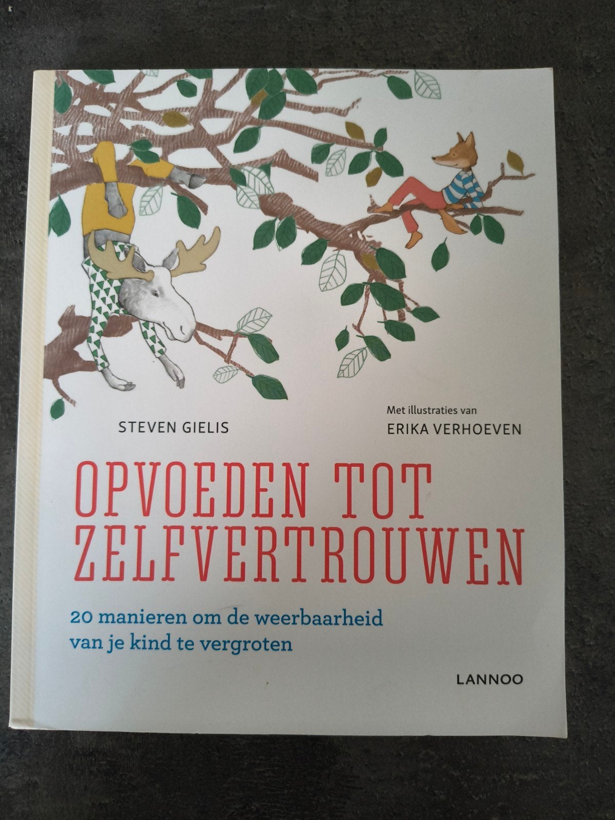 Steven Gielis - Opvoeden tot zelfvertrouwen, Boeken, Zwangerschap en Opvoeding, Ophalen, Steven Gielis