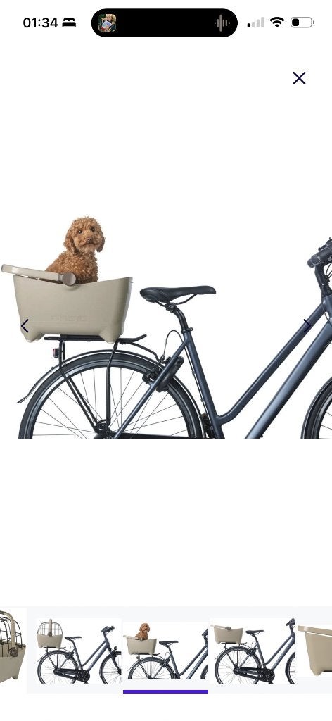 Fietsmand voor hond Nieuw, Fietsen en Brommers, Fietsaccessoires | Fietsmanden, Ophalen, Nieuw, Fietsmand, Basil