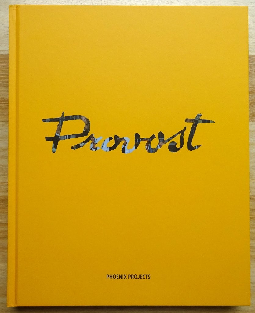 Michel Provost, Monografie, 2012 Phoenix Projects, Neuf, Peinture et dessin, Piet Willequet, Enlèvement ou Envoi