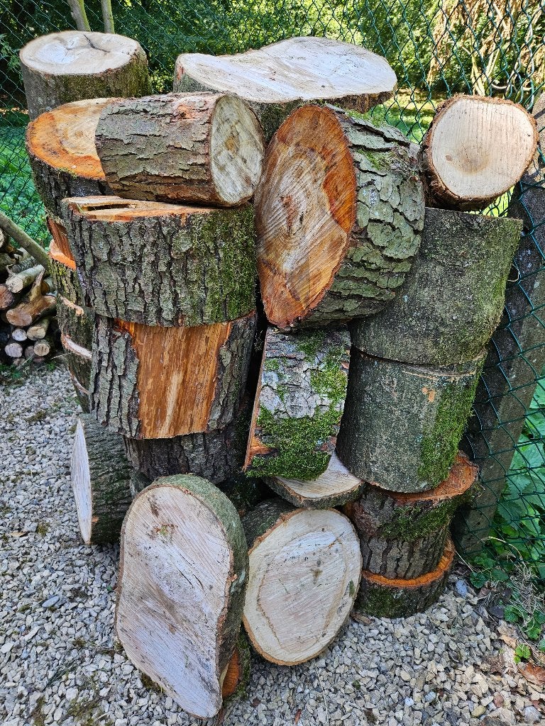 bois de chauffage, Jardin & Terrasse, Bois de chauffage, 3 à 6 m³, Enlèvement, Hêtre, Troncs d'arbres