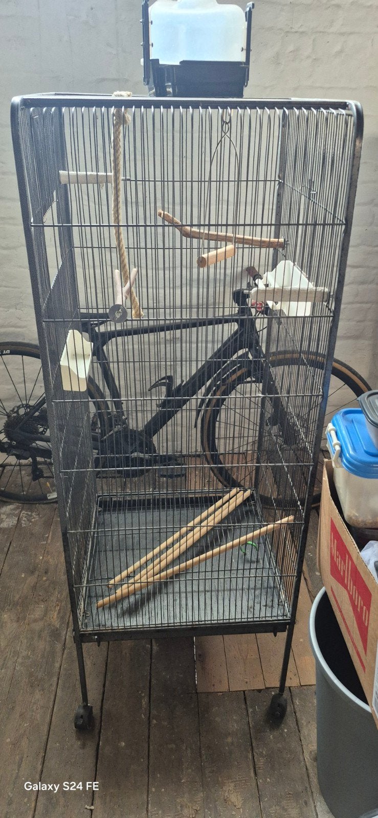 cage oiseaux, Enlèvement, Utilisé, Métal, Cage à oiseaux