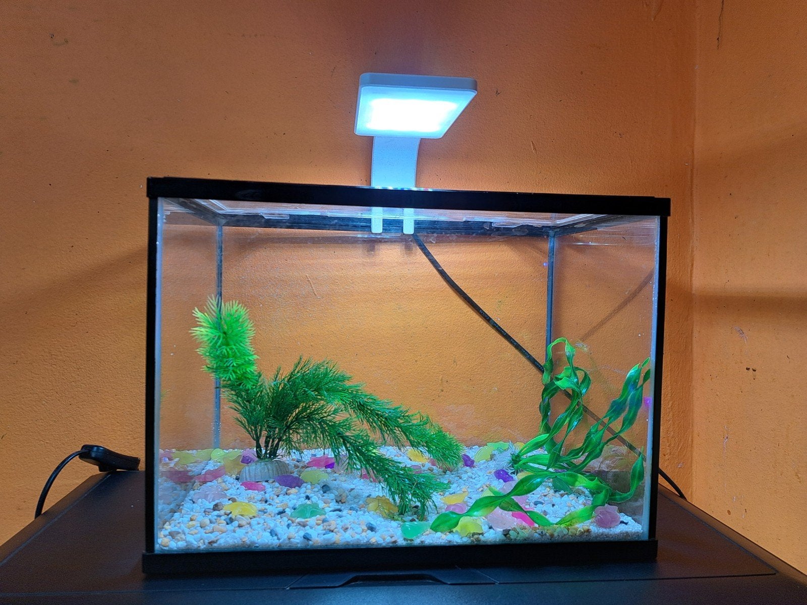 petit aquarium de 35/22/26 cm de haut, Ophalen, Inclusief deksel, Zo goed als nieuw, Leeg aquarium