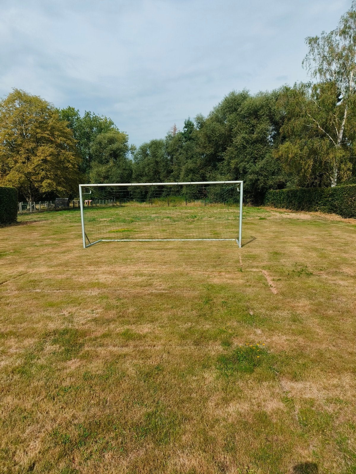 voetbal goal in alu 4 op 2, Dieren en Toebehoren