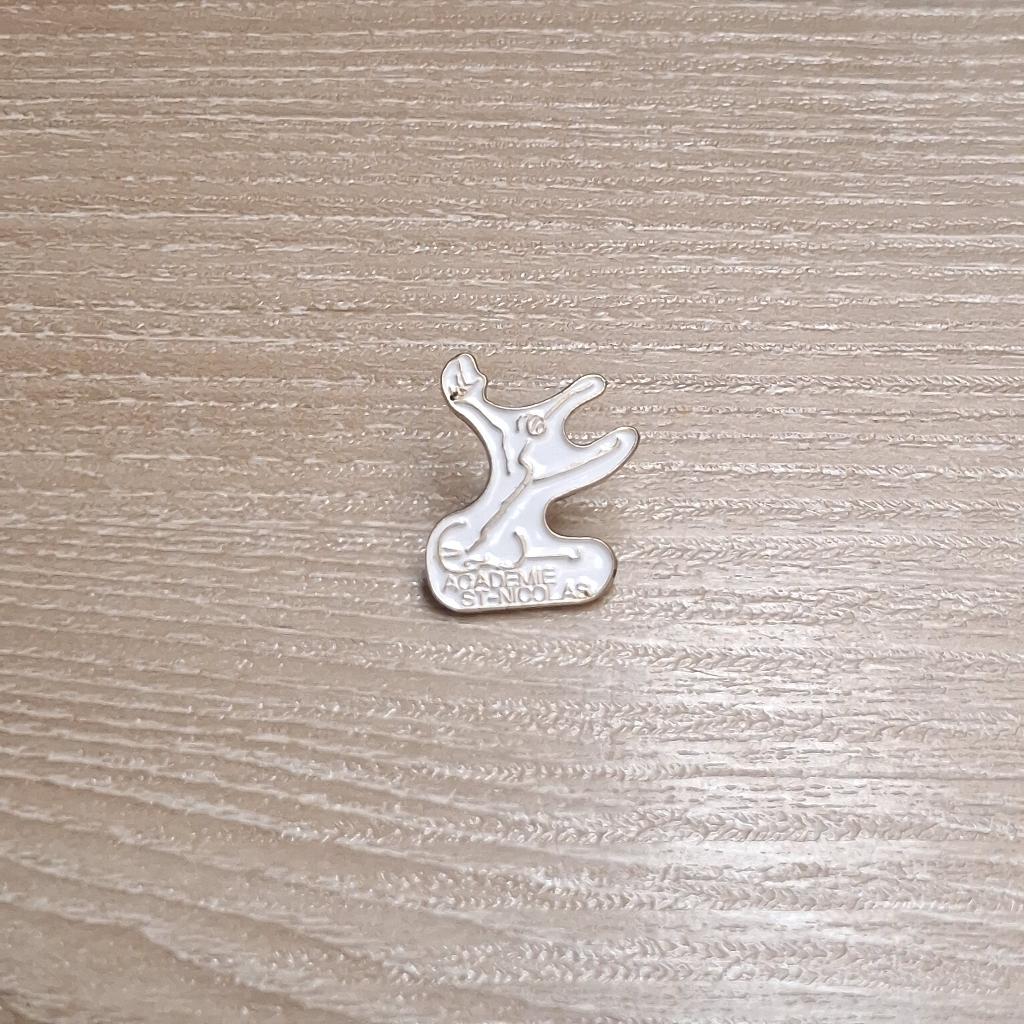 PIN - ACADEMIE SAINT-NICOLAS, Enlèvement ou Envoi, Utilisé, Autres sujets/thèmes, Insigne ou Pin's