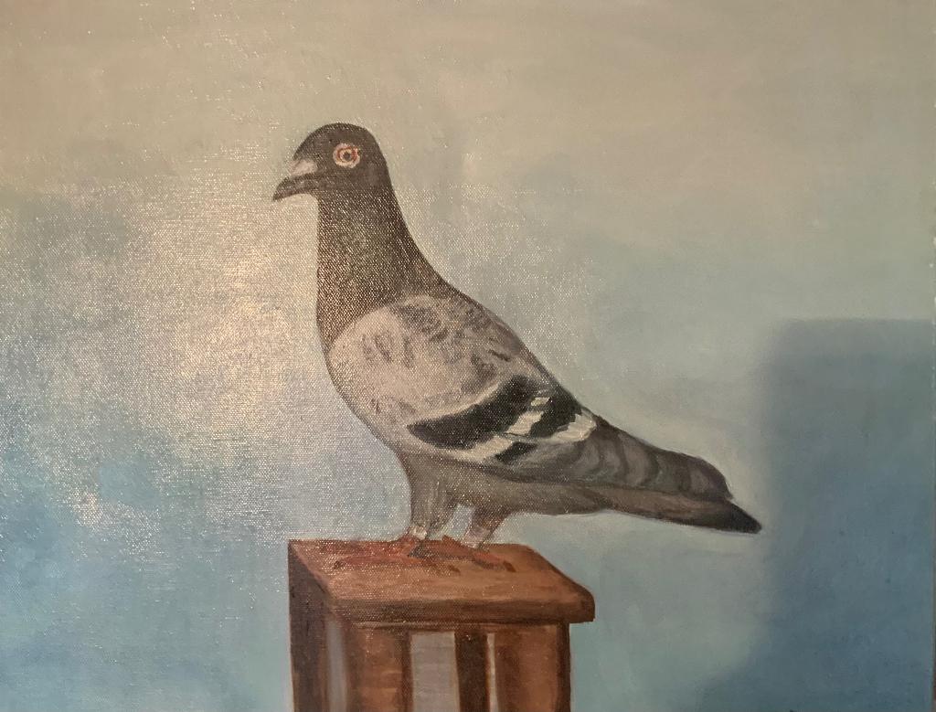 Schilderij. Prijsduif, Antiek en Kunst, Kunst | Schilderijen | Modern, Ophalen