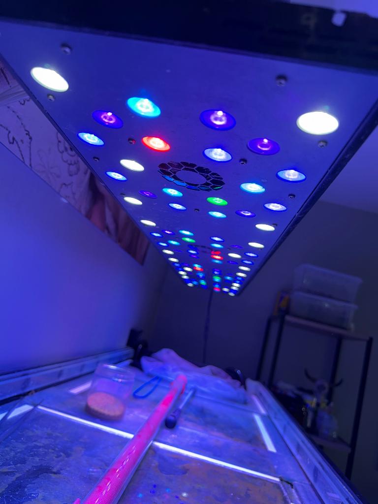 Lampe aquarium, Animaux & Accessoires, Enlèvement, Télécommande incluse, Comme neuf, Éclairage ou Chauffage