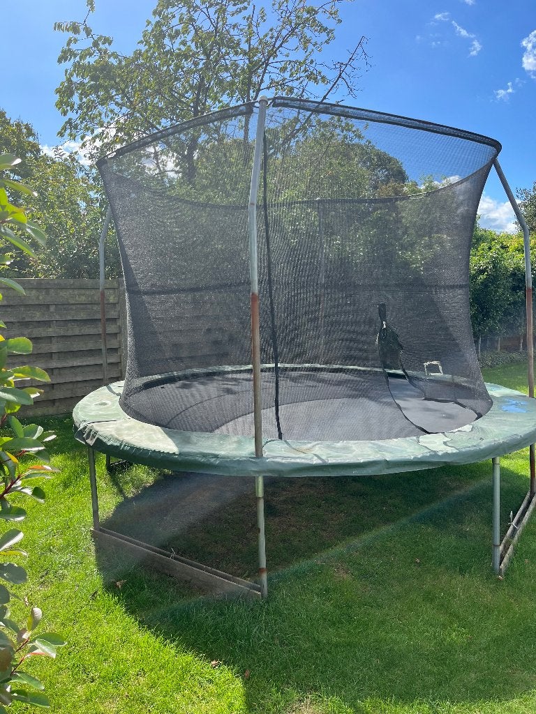 Trampoline, Ophalen, Gebruikt