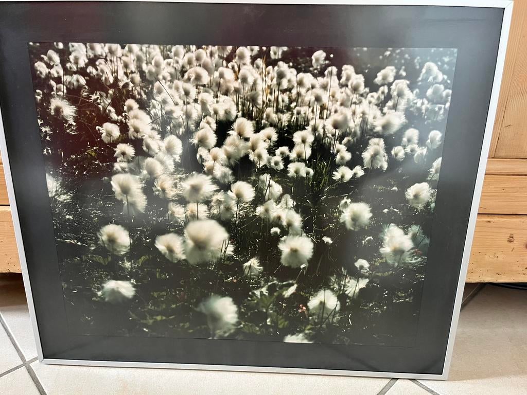 Fotografie in metalen kader L.Verhaeghe, Ophalen of Verzenden