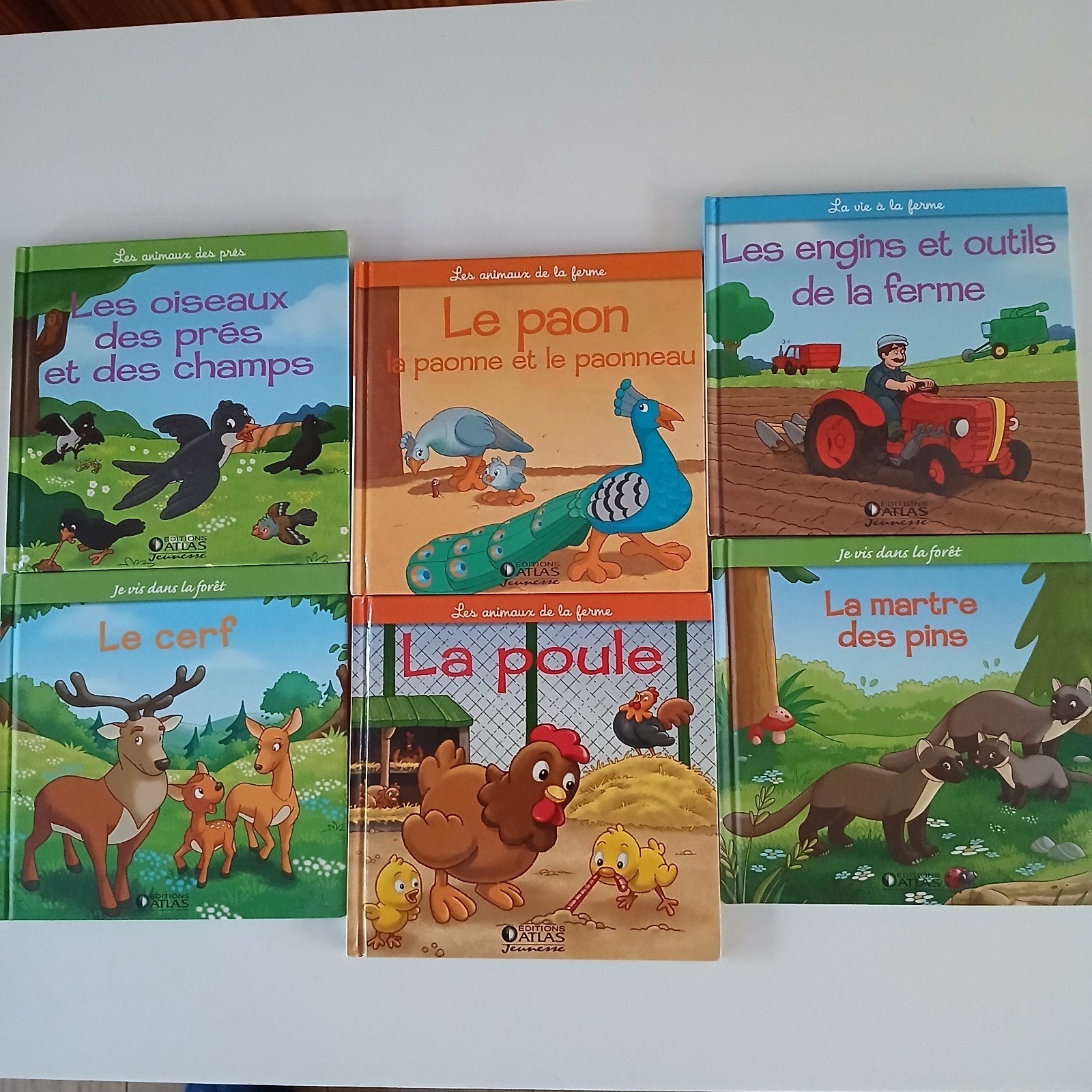 lot de 10 livres Atlas jeunesse, Livres, Enlèvement