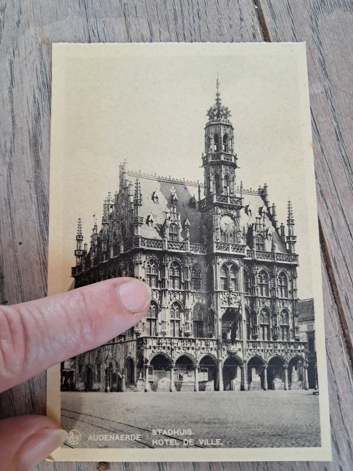Oude onbeschreven pk, stadhuis Oudenaarde (Audenaerde), Ophalen of Verzenden