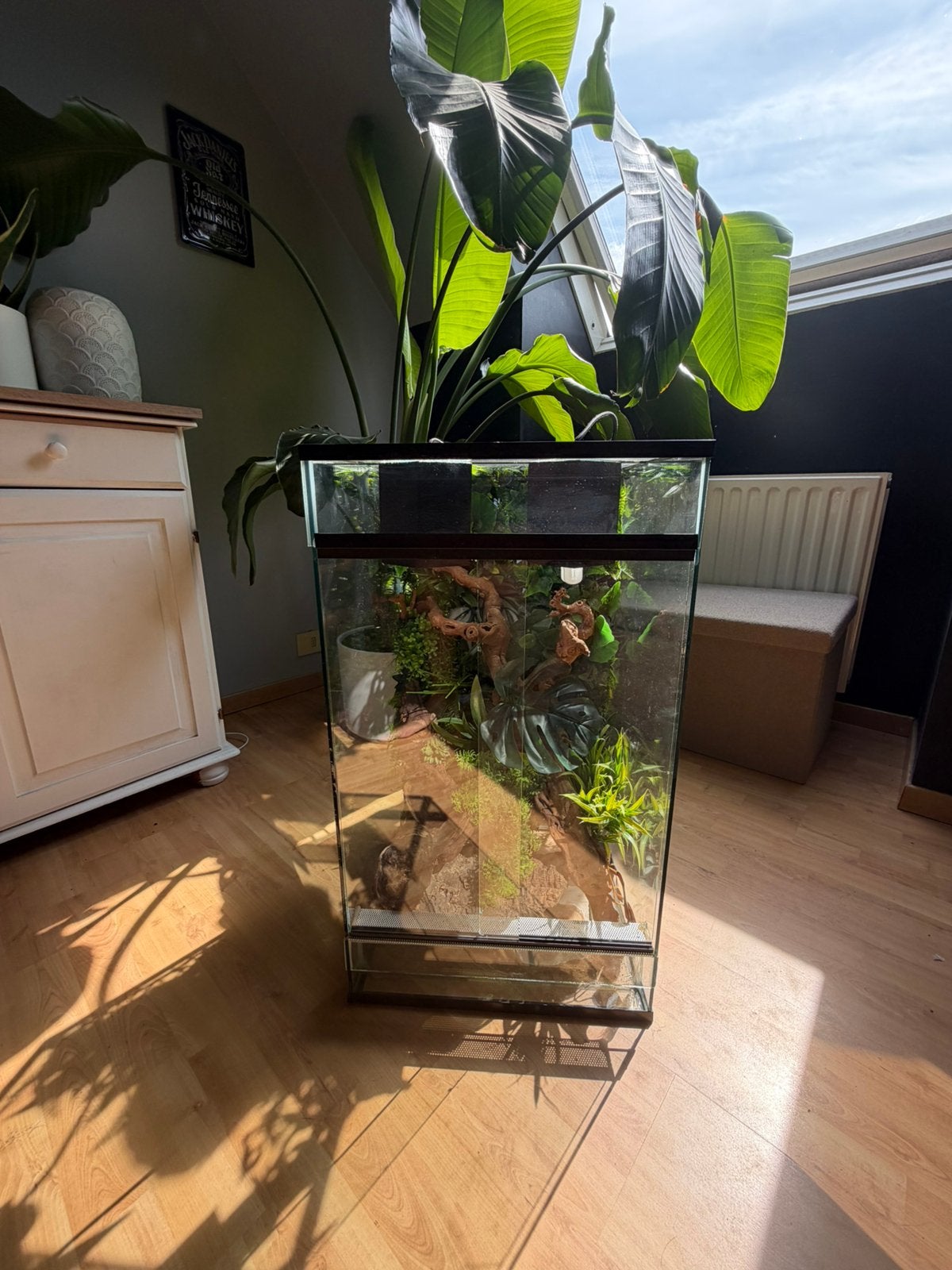 Ingericht terrarium met achterwand en lamp, Dieren en Toebehoren, Ophalen of Verzenden, Zo goed als nieuw