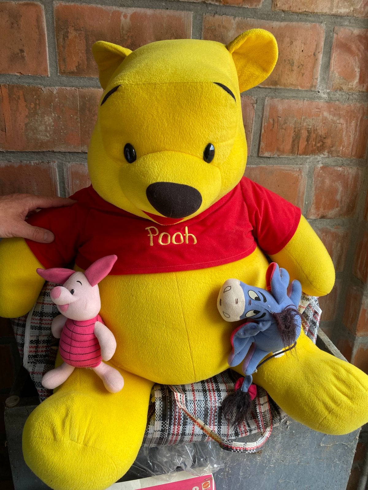 Grote winnie de pooh  gratis, Ophalen, Zo goed als nieuw