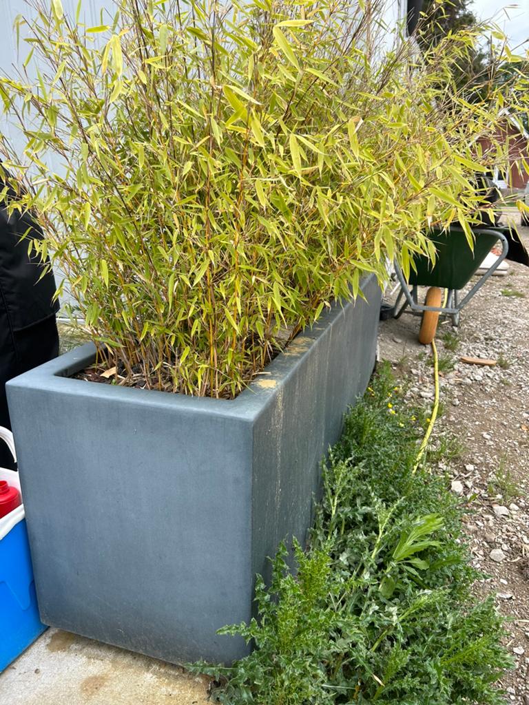 Twee bloembakken met inhoud., Tuin en Terras, Ophalen, Kunststof, Gebruikt, 100 cm of meer