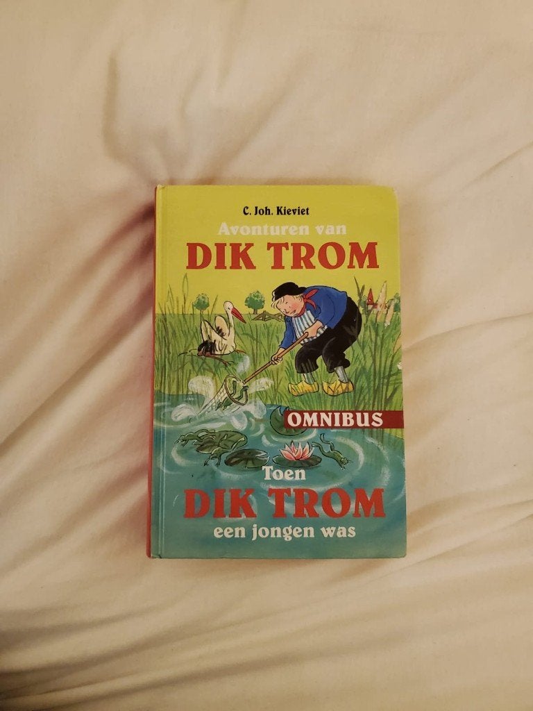 Boek Toen Dik Trom een jongen was, Gelezen, C. Joh. Kieviet, Ophalen of Verzenden, Fictie
