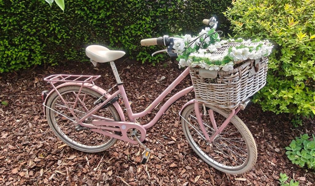 Meisjesfiets 24", Enlèvement, Frappé, Frein sur jante, 24 pouces