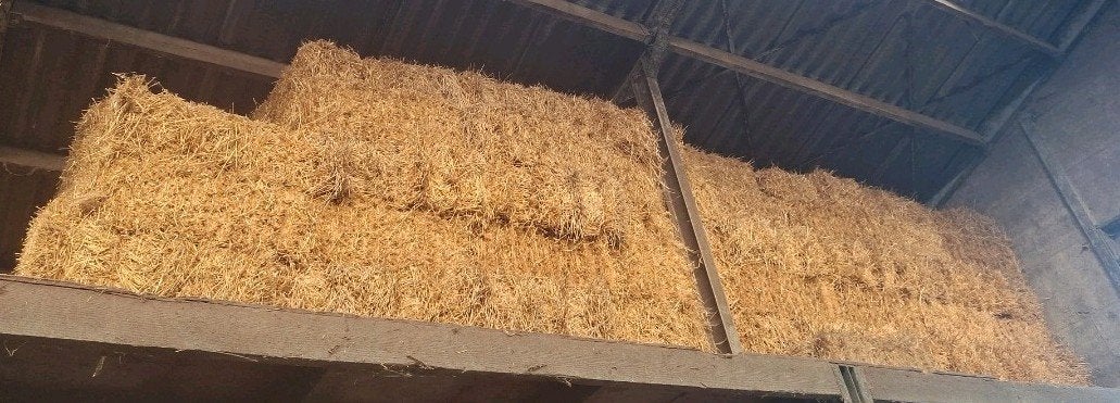 kleine balen stro, Dieren en Toebehoren, Ophalen