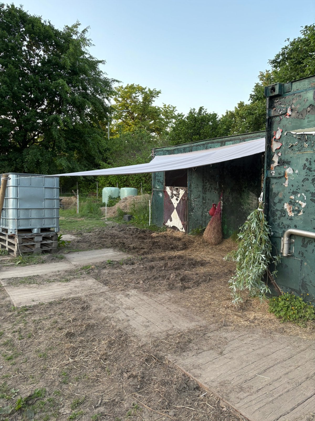 Plaatsje vrij op weide in edegem, grens kontich, Dieren en Toebehoren, Weidegang, 1 paard of pony