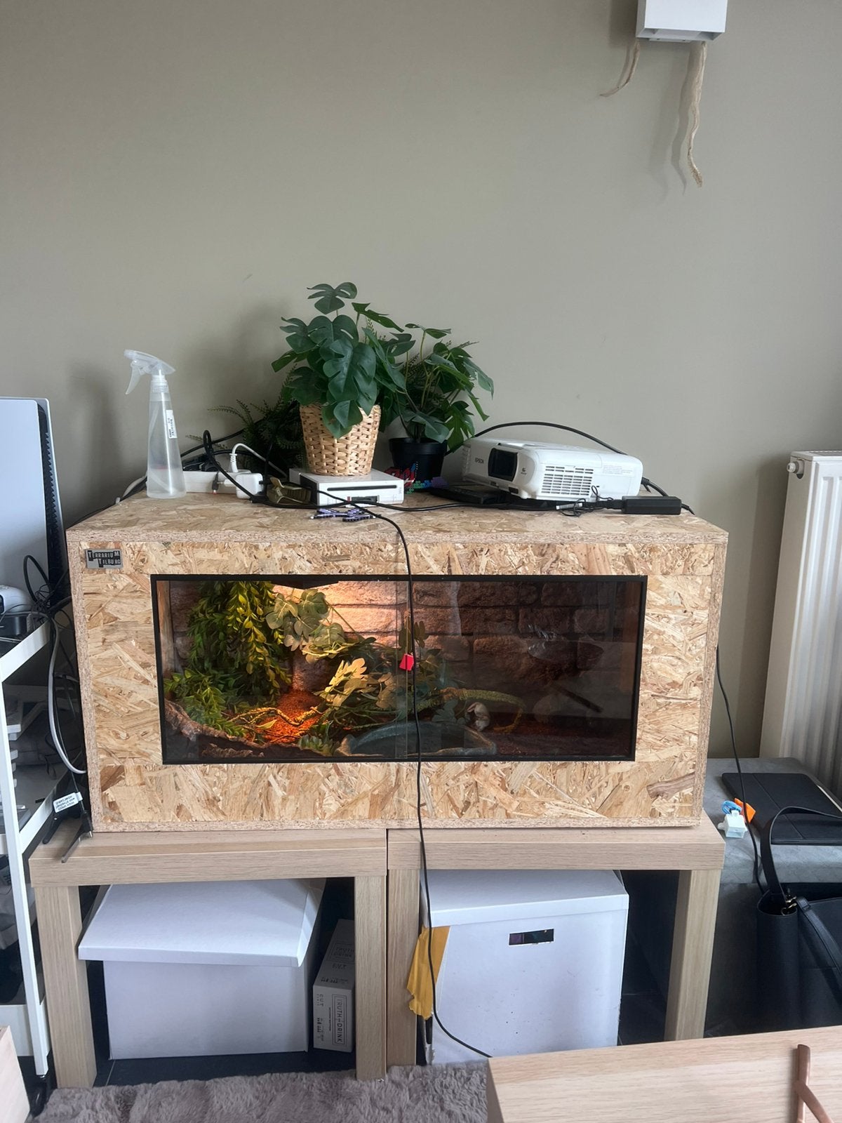 Terrarium met benodigdheden, Dieren en Toebehoren, Ophalen, Gebruikt