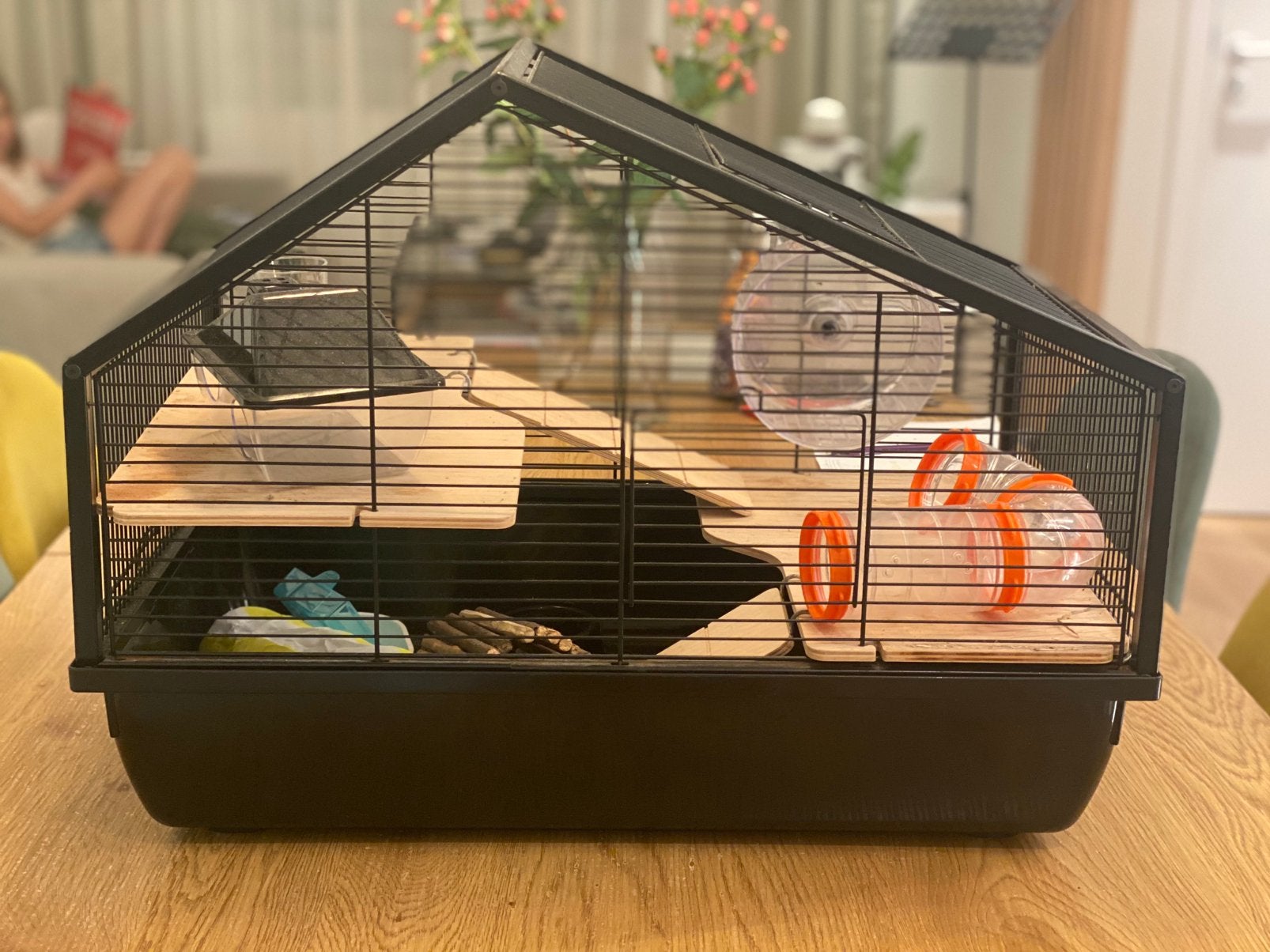 Kooi voor knaagdieren (hamster, muis,...), Dieren en Toebehoren, Ophalen, Kooi, Gebruikt, 60 tot 90 cm