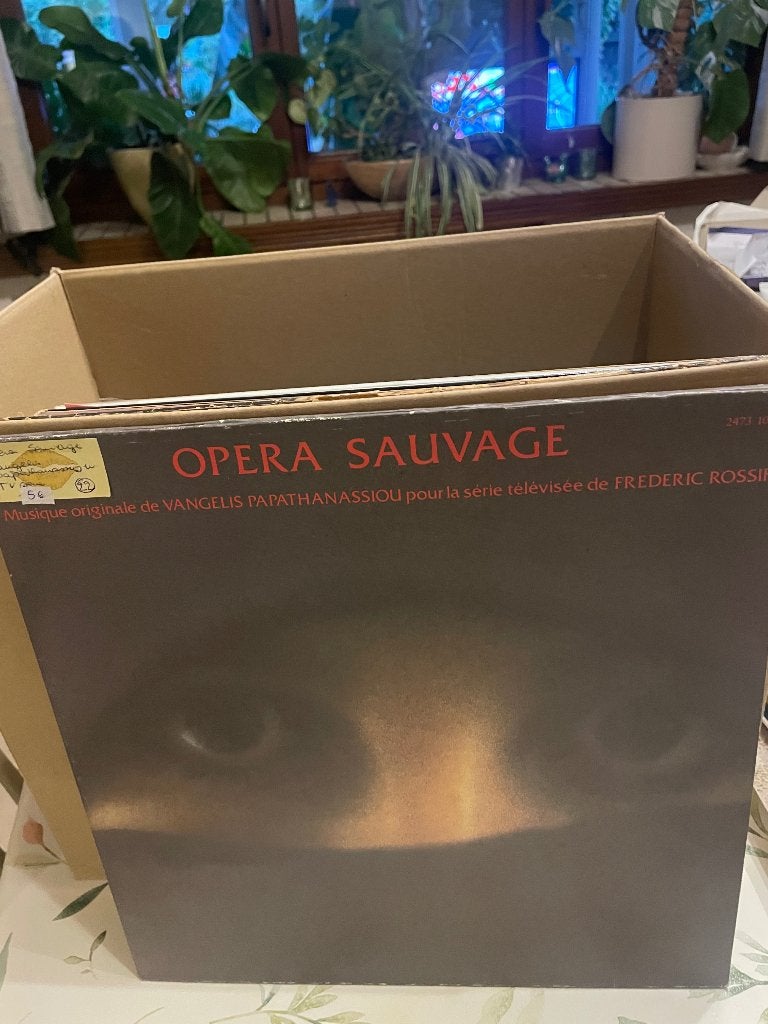 Les vieux vinyles vintage de LP, Enlèvement, Utilisé, LP