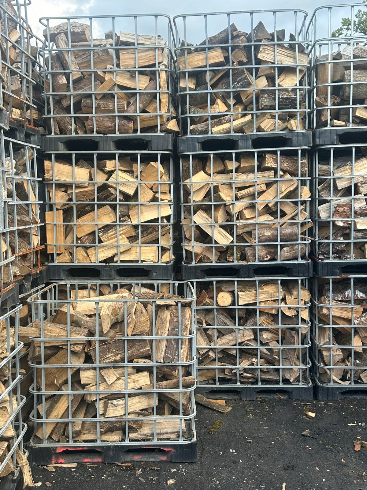 Bois chauffage (peruwelz 7600), Ophalen of Verzenden, Beukenhout, Blokken