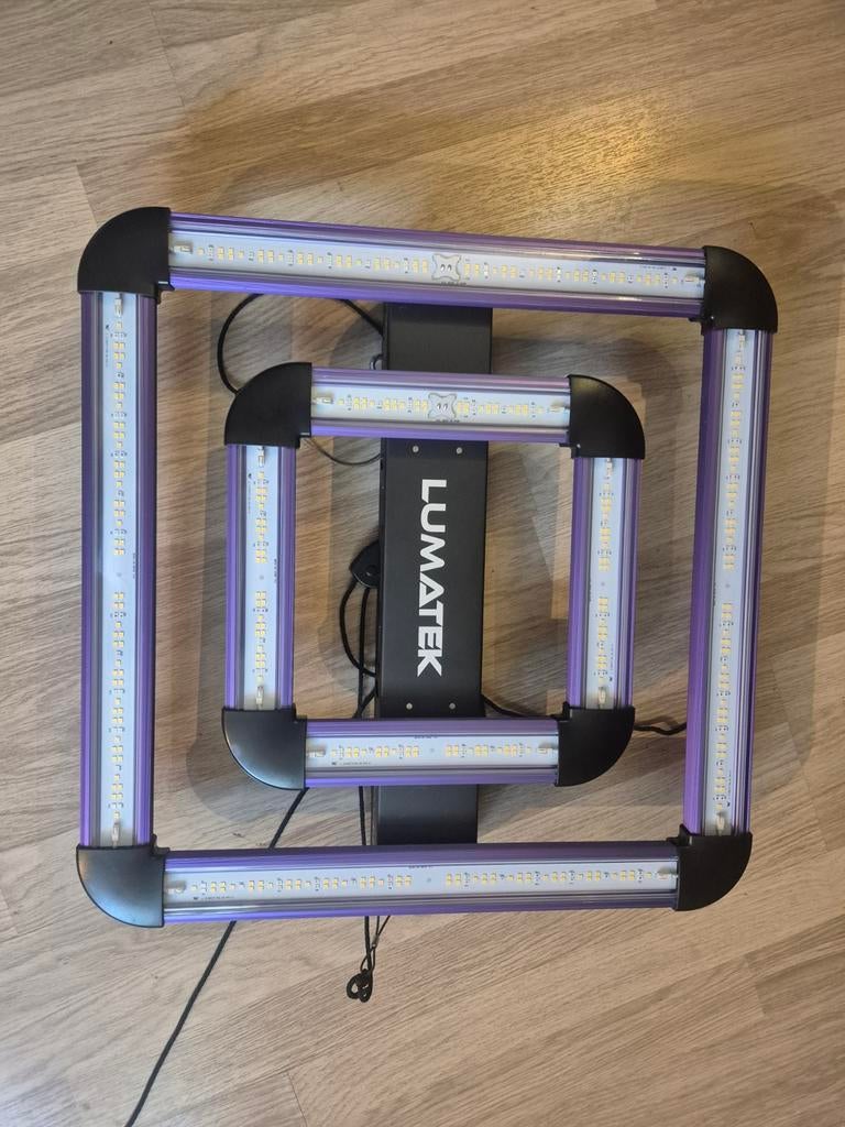 Led lumatek, Enlèvement