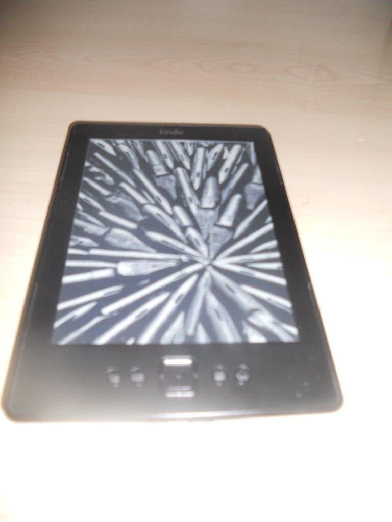 DE KINDLE-LEZER, Ophalen of Verzenden, Zo goed als nieuw